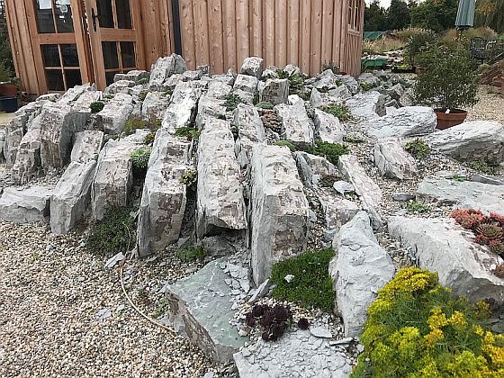 Sarastro-Rundbrief Januar 2021