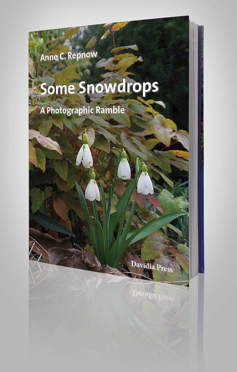 Buch Some Snowdrops