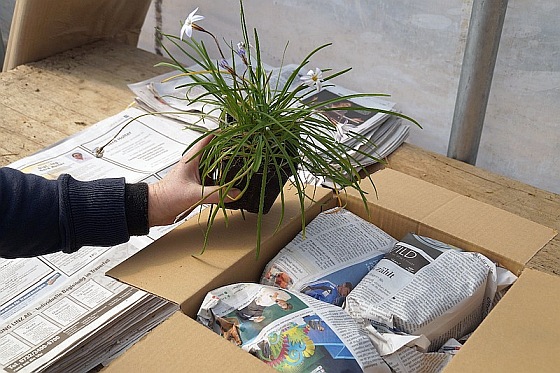 Sarastro-Rundbrief Mai 2021