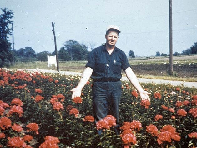 Foto Walters Gardens Inc.