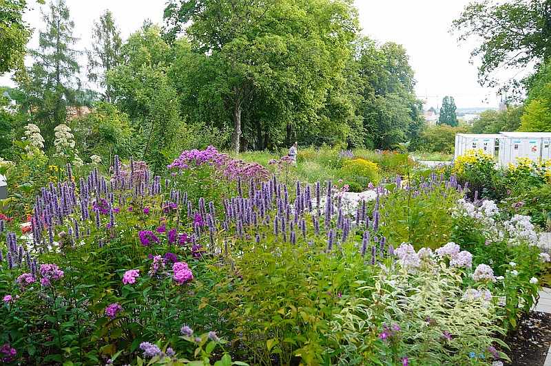 Karl Foerster Garten